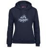 Ladies Fleecy Hoodie Thumbnail