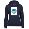 Ladies Fleecy Hoodie Thumbnail