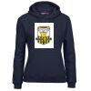 Ladies Fleecy Hoodie Thumbnail