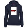 Ladies Fleecy Hoodie Thumbnail