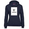 Ladies Fleecy Hoodie Thumbnail