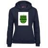 Ladies Fleecy Hoodie Thumbnail
