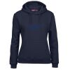Ladies Fleecy Hoodie Thumbnail