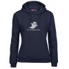 Ladies Fleecy Hoodie Thumbnail
