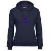 Ladies Fleecy Hoodie Thumbnail