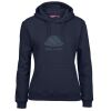 Ladies Fleecy Hoodie Thumbnail