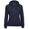 Ladies Fleecy Hoodie Thumbnail