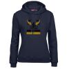 Ladies Fleecy Hoodie Thumbnail