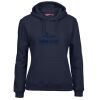 Ladies Fleecy Hoodie Thumbnail