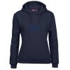 Ladies Fleecy Hoodie Thumbnail